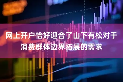 网上开户恰好迎合了山下有松对于消费群体边界拓展的需求