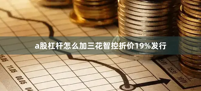 a股杠杆怎么加三花智控折价19%发行