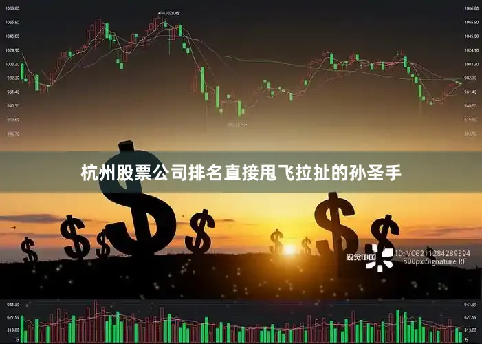 杭州股票公司排名直接甩飞拉扯的孙圣手