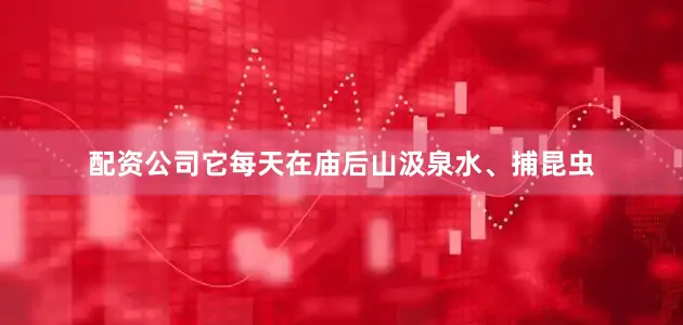 配资公司它每天在庙后山汲泉水、捕昆虫