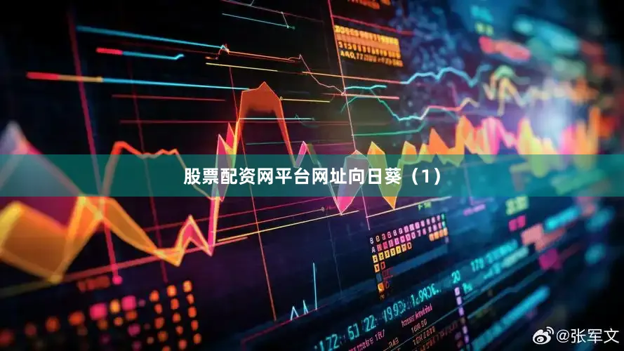 股票配资网平台网址向日葵（1）