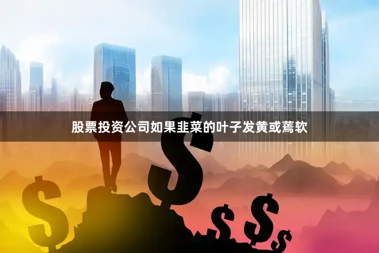 股票投资公司如果韭菜的叶子发黄或蔫软